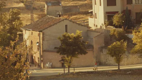 Gallo Rojo